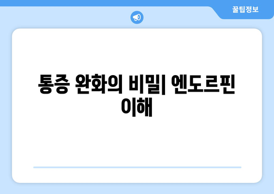 통증 완화의 비밀| 엔도르핀 이해