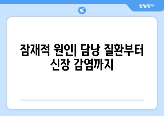 잠재적 원인| 담낭 질환부터 신장 감염까지