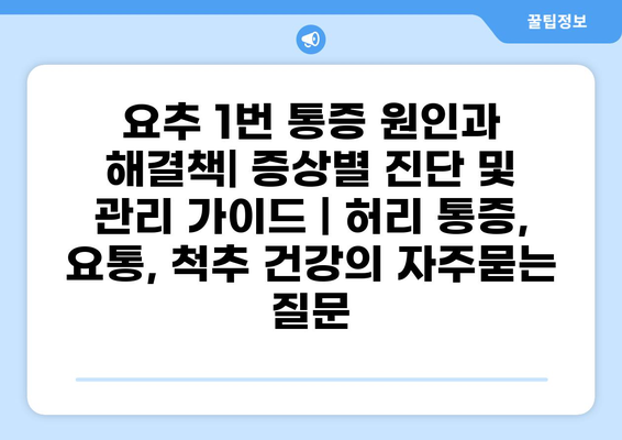 요추 1번 통증 원인과 해결책| 증상별 진단 및 관리 가이드 | 허리 통증, 요통, 척추 건강