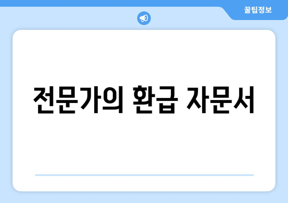 전문가의 환급 자문서