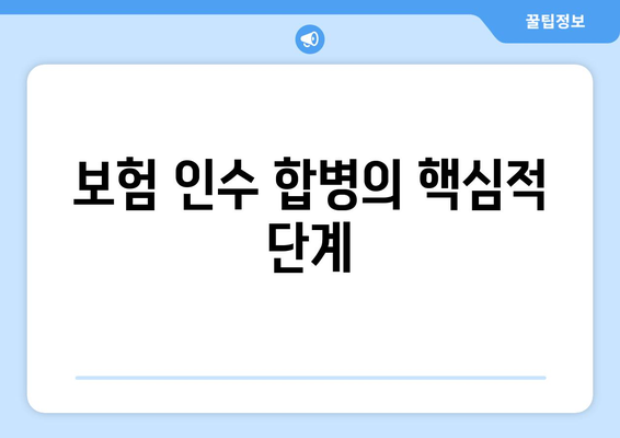 보험 인수 합병의 핵심적 단계