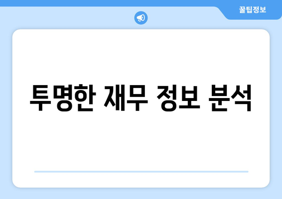 투명한 재무 정보 분석