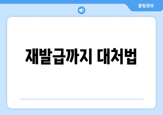 재발급까지 대처법