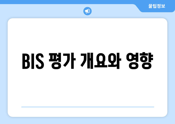 BIS 평가 개요와 영향