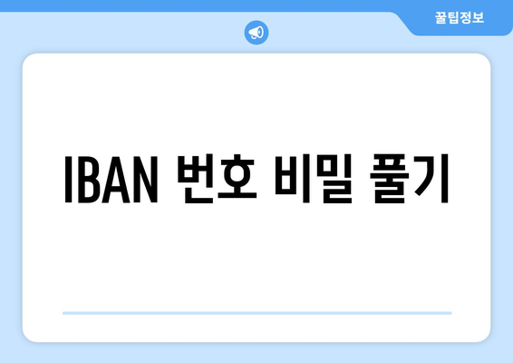 IBAN 번호 비밀 풀기