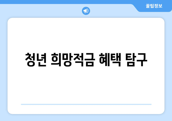 청년 희망적금 혜택 탐구