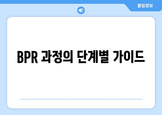 BPR 과정의 단계별 가이드