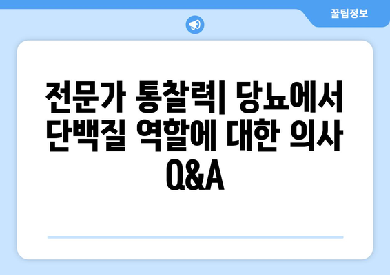 전문가 통찰력| 당뇨에서 단백질 역할에 대한 의사 Q&A