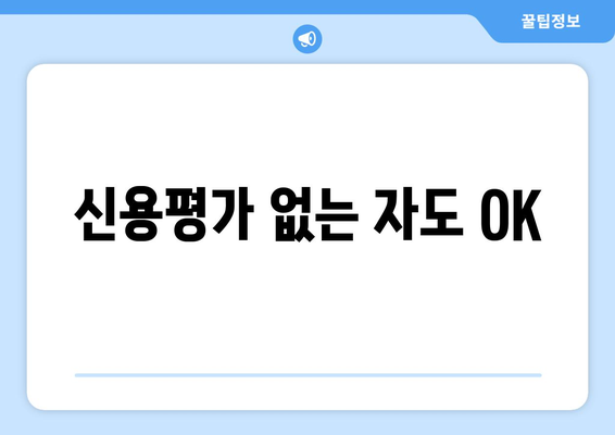 신용평가 없는 자도 OK