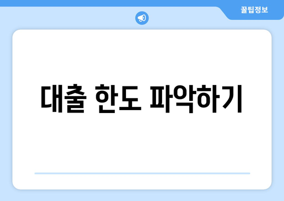 대출 한도 파악하기