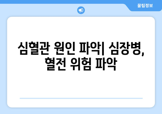 심혈관 원인 파악| 심장병, 혈전 위험 파악