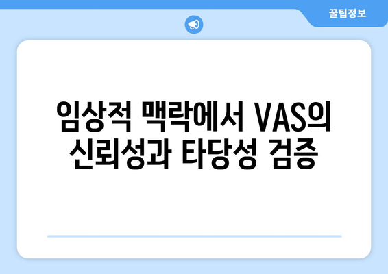 임상적 맥락에서 VAS의 신뢰성과 타당성 검증