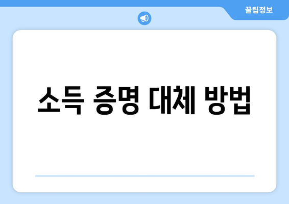 소득 증명 대체 방법