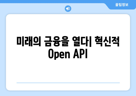 미래의 금융을 열다| 혁신적 Open API