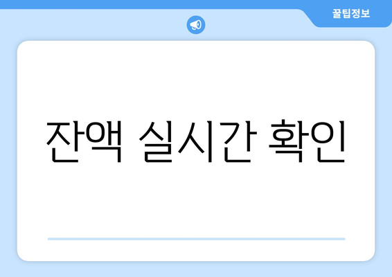 잔액 실시간 확인