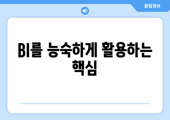 BI를 능숙하게 활용하는 핵심