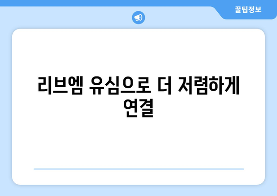 리브엠 유심으로 더 저렴하게 연결