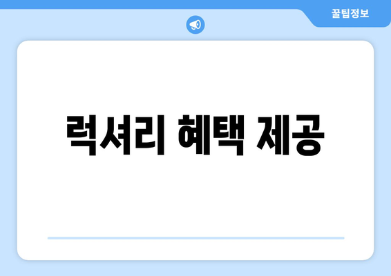 럭셔리 혜택 제공