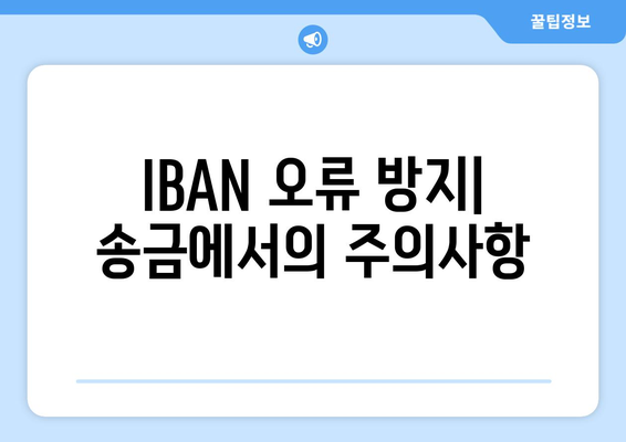 IBAN 오류 방지| 송금에서의 주의사항