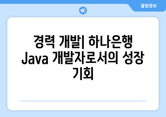 경력 개발| 하나은행 Java 개발자로서의 성장 기회