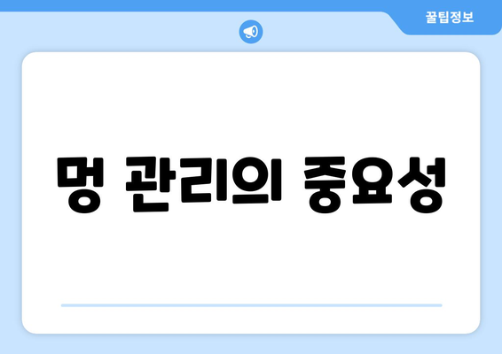 멍 관리의 중요성