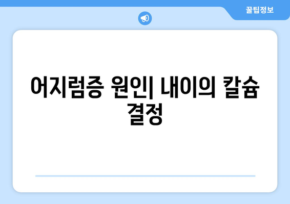 어지럼증 원인| 내이의 칼슘 결정