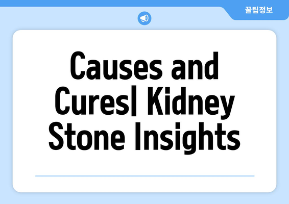 Causes and Cures| Kidney Stone Insights