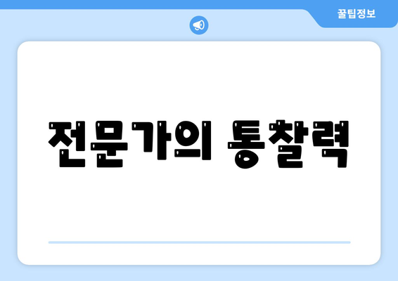 전문가의 통찰력