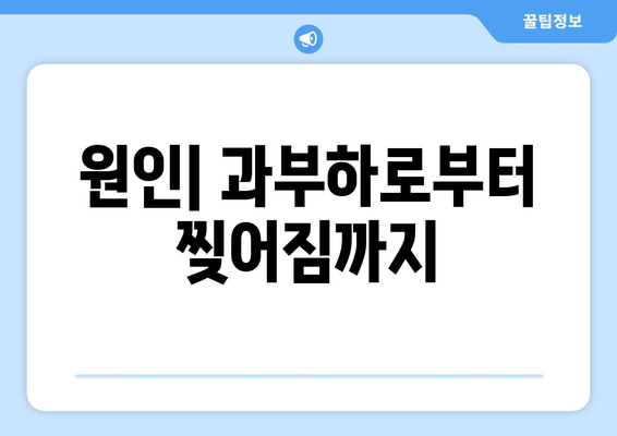 원인| 과부하로부터 찢어짐까지