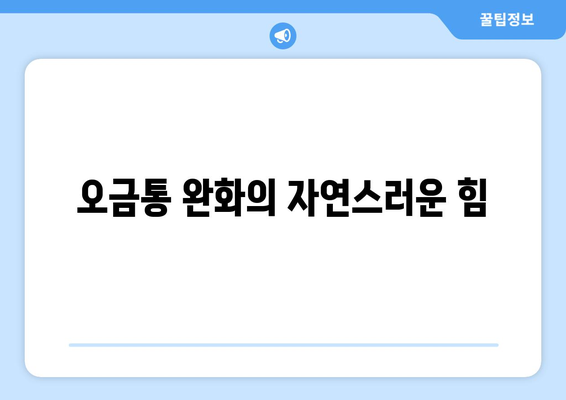 오금통 완화의 자연스러운 힘