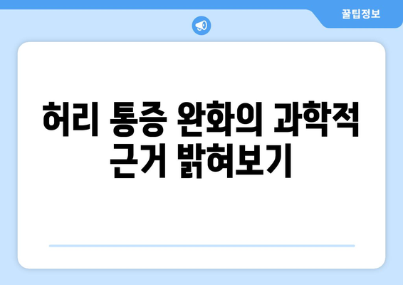 허리 통증 완화의 과학적 근거 밝혀보기