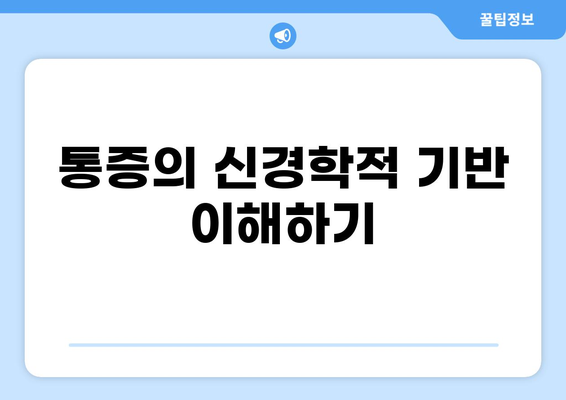 통증과 CNPS| 원인과 치료의 이해 | 통증 관리, 신경계, CNS, 통증 원리