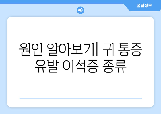 원인 알아보기| 귀 통증 유발 이석증 종류