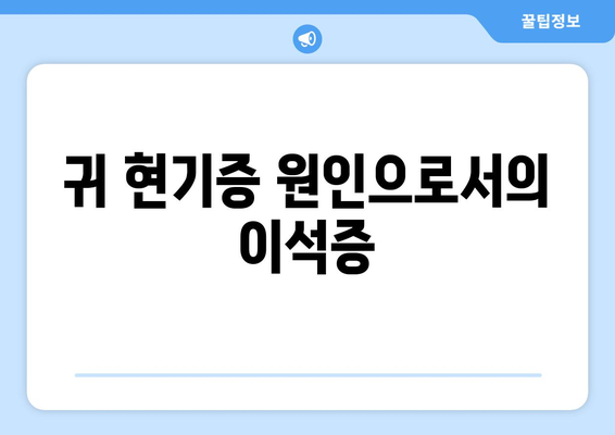 귀 현기증 원인으로서의 이석증