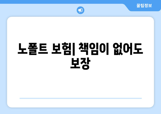 노폴트 보험| 책임이 없어도 보장