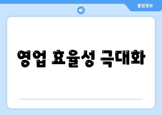 영업 효율성 극대화