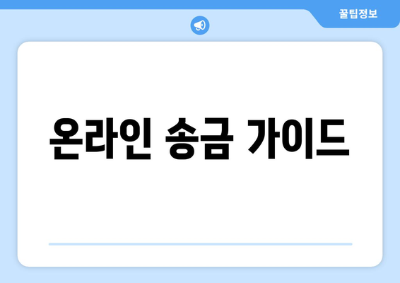 온라인 송금 가이드