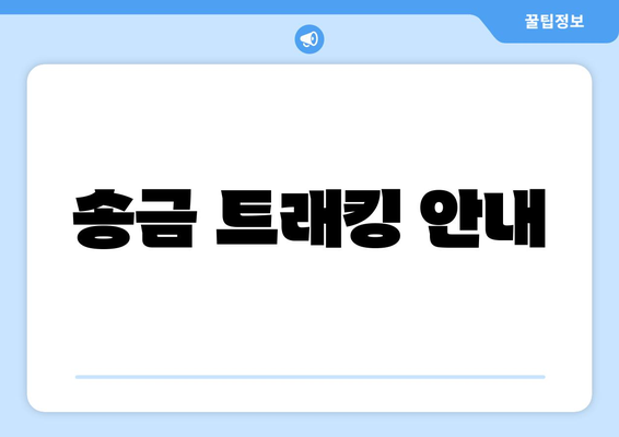 송금 트래킹 안내