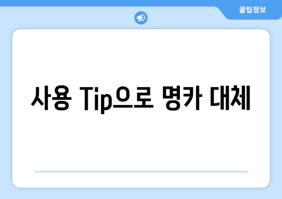 사용 Tip으로 명카 대체