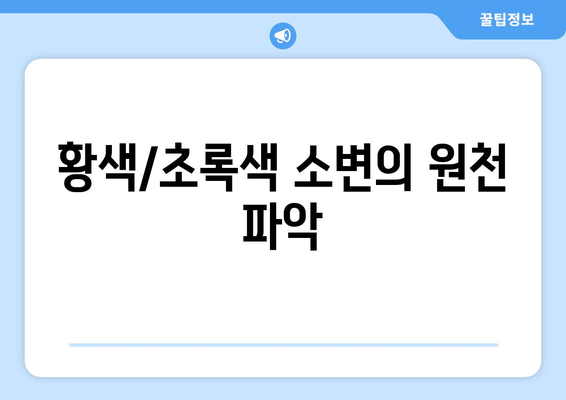 황색/초록색 소변의 원천 파악