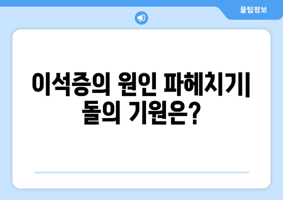 이석증의 원인 파헤치기| 돌의 기원은?