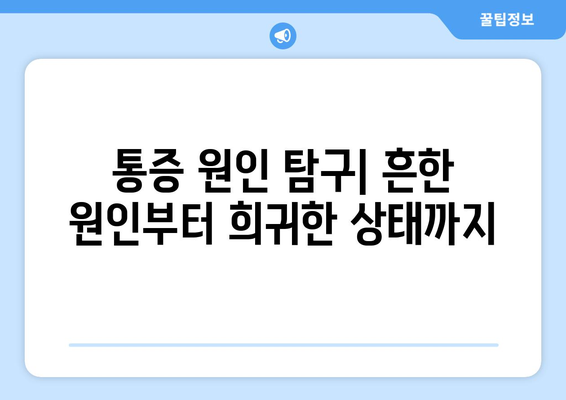 통증 원인 탐구| 흔한 원인부터 희귀한 상태까지