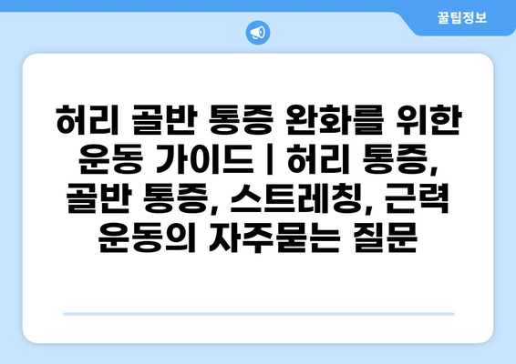 허리 골반 통증 완화를 위한 운동 가이드 | 허리 통증, 골반 통증, 스트레칭, 근력 운동