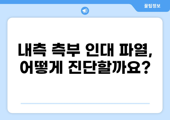 무릎 안쪽 통증, 내측 측부 인대 파열 의심되시나요? 증상과 치료법 알아보기 | 무릎 통증, 내측 측부 인대, 운동 부상