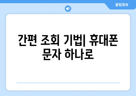 간편 조회 기법| 휴대폰 문자 하나로