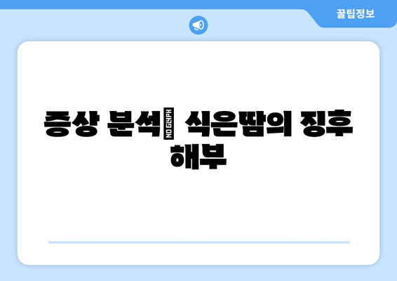 증상 분석| 식은땀의 징후 해부