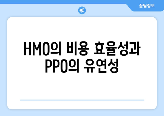 HMO의 비용 효율성과 PPO의 유연성
