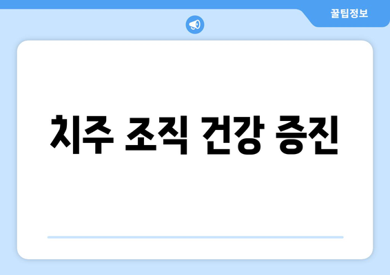 치주 조직 건강 증진