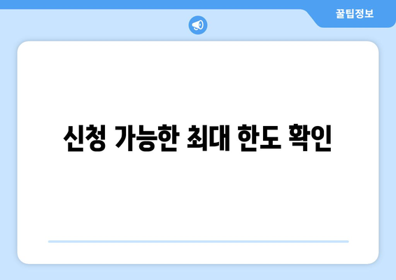 신청 가능한 최대 한도 확인