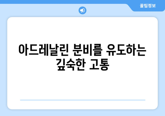 아드레날린 분비를 유도하는 깊숙한 고통